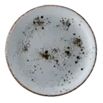 Vertex China LTW-C21, Plate, China