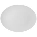 Vertex China RH-13, Platter, China