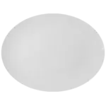 Vertex China RH-28, Platter, China