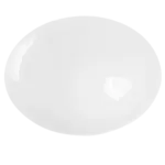 Vertex China RS-13, Platter, China